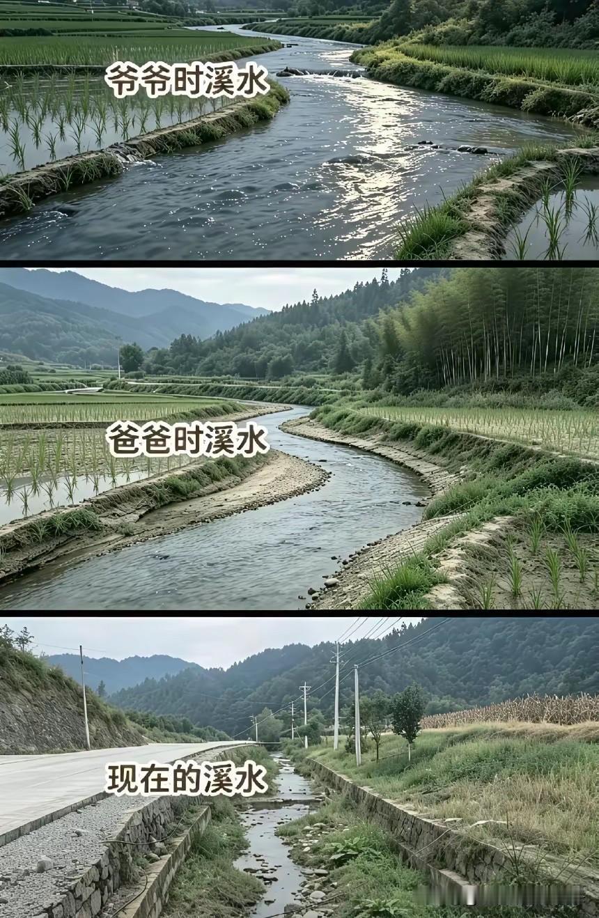 不得不说，这是年度最佳合照对比
