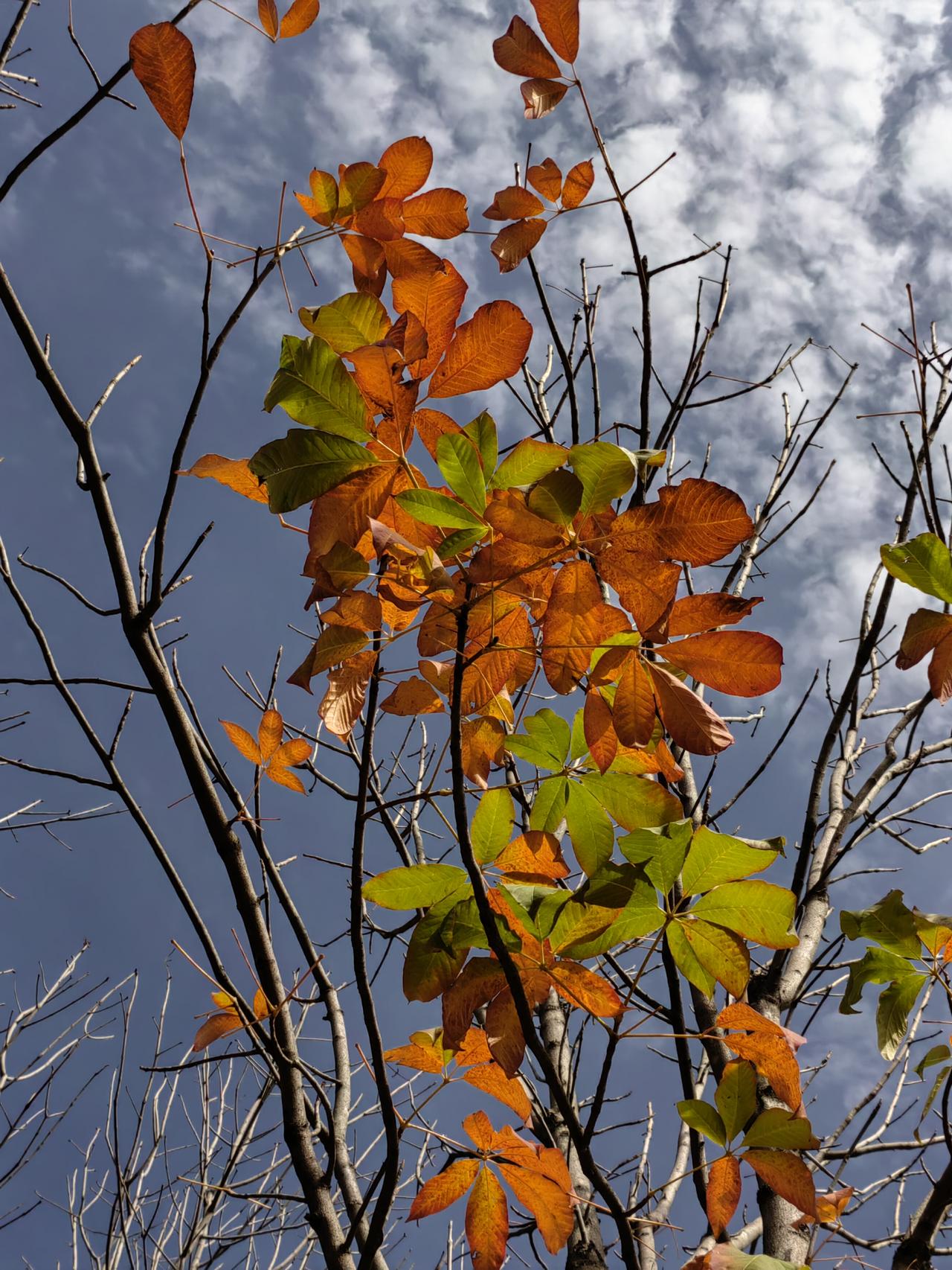 富人处世多灵活，穷人骂之曰“奸”；穷人处世多固执，富人笑之曰“迂”。一骂一笑中透