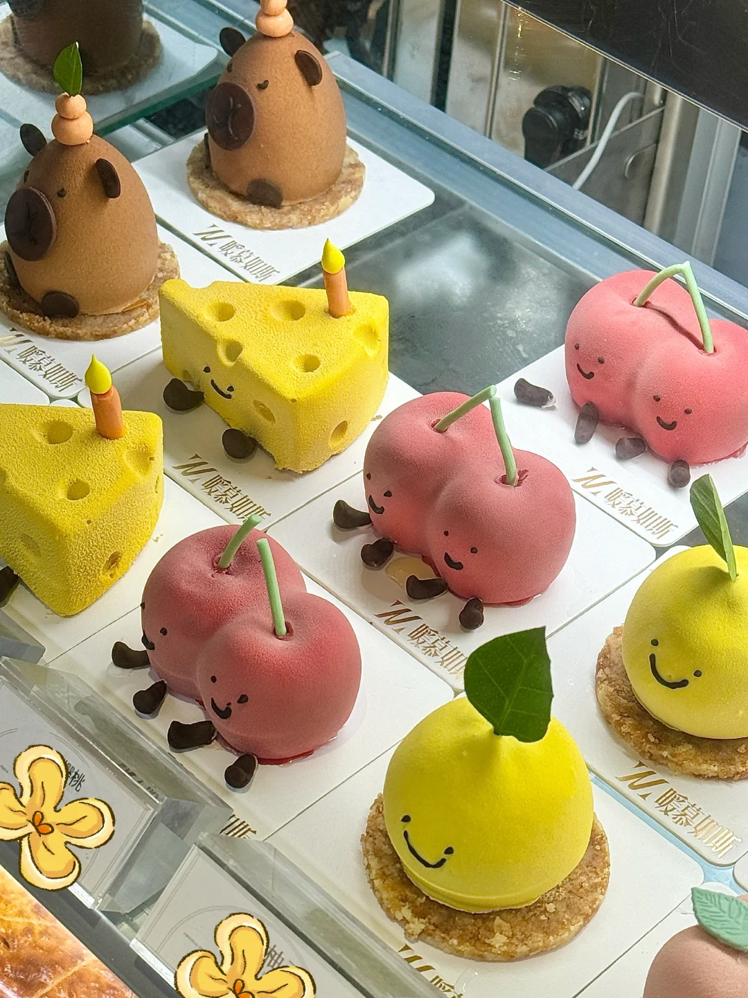 昆明真的有！！jellycat 蛋糕🎂！