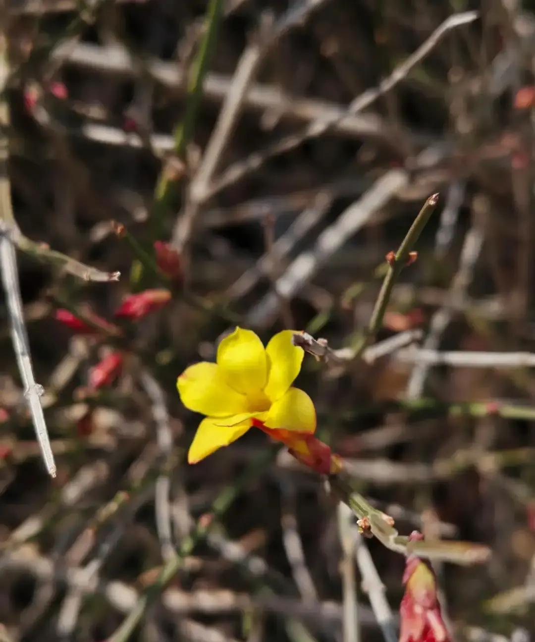 四姨在年夜饭桌上宣布和儿子断绝关系，因为看不惯儿媳两年。

她把儿子一家微信全删