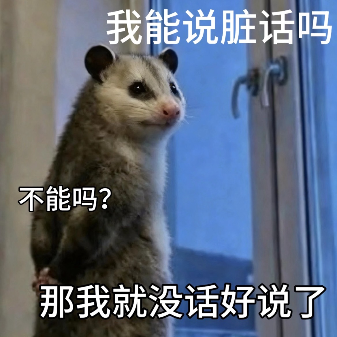 除了以后我儿子的作品我不会再给电影院贡献一分钱 