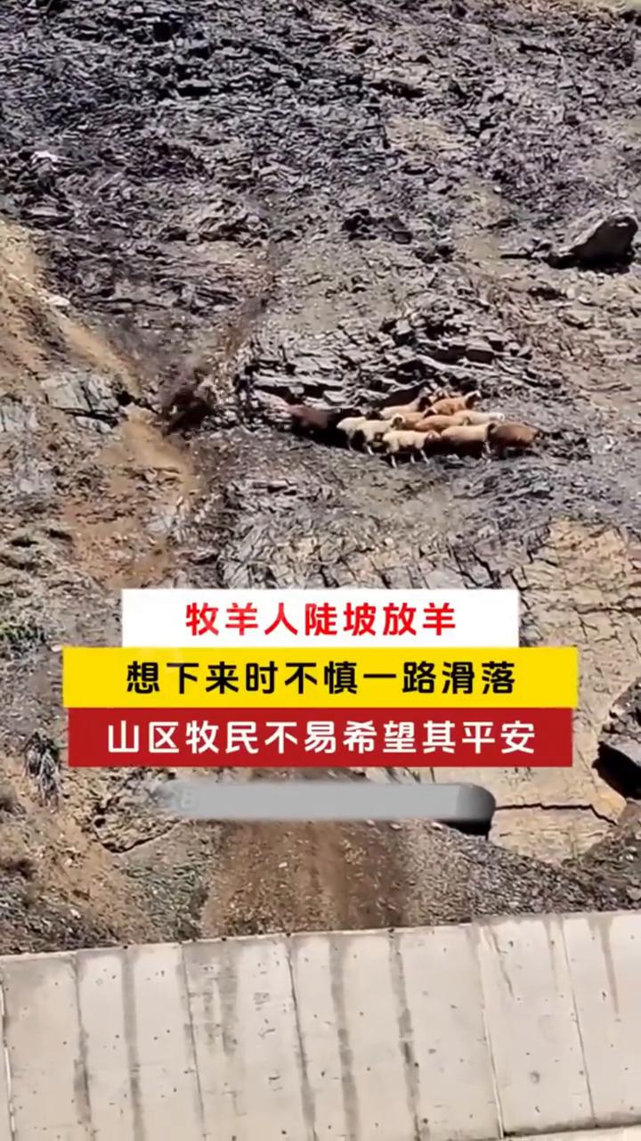 牧羊人陡坡放羊，想下来时不慎一路滑落，山区牧民不易，希望其平安。
点个关注吧！