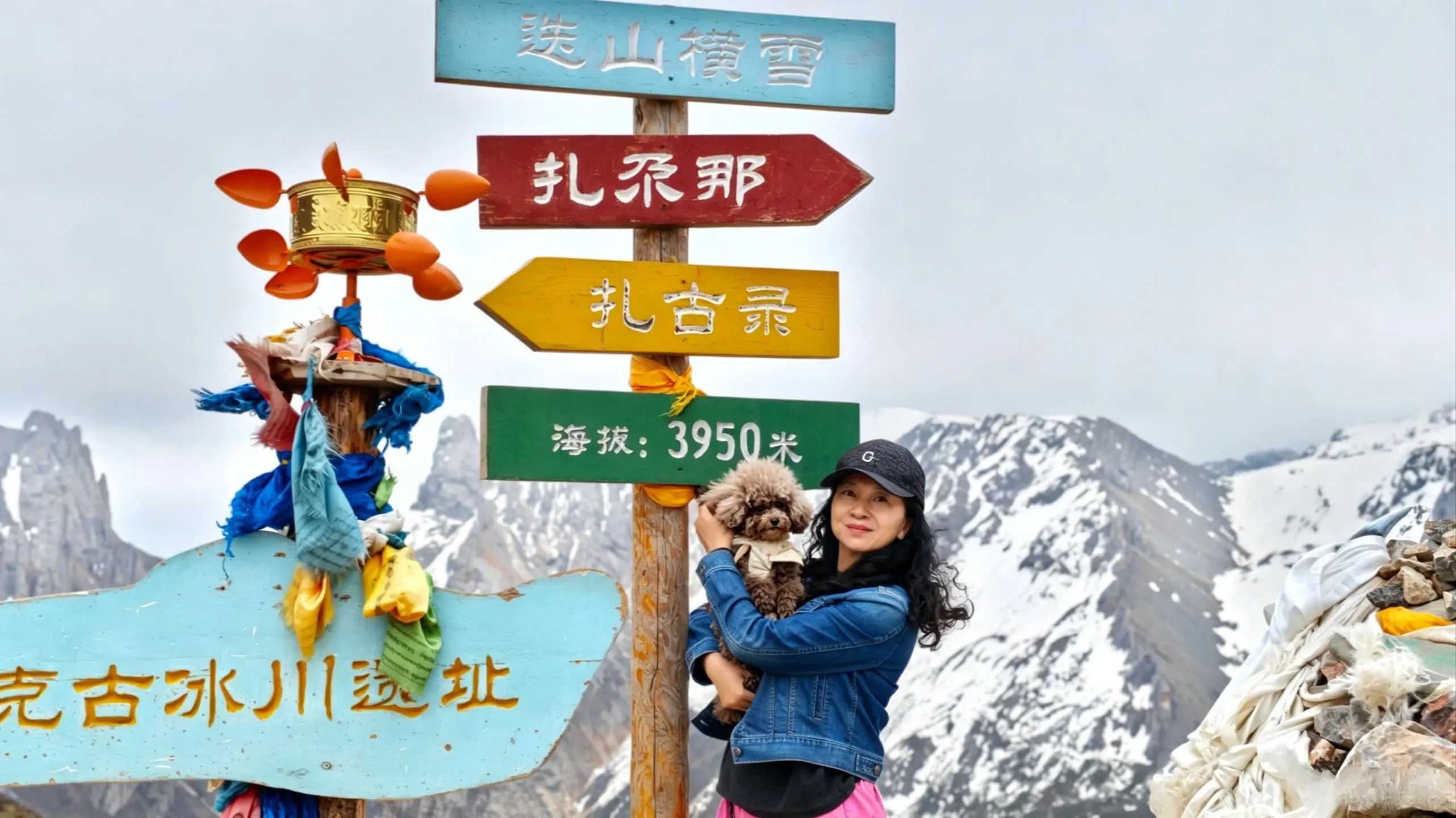 人间朝暮，雪域辽阔，我快15岁的小狗，永远是旅途最佳搭子