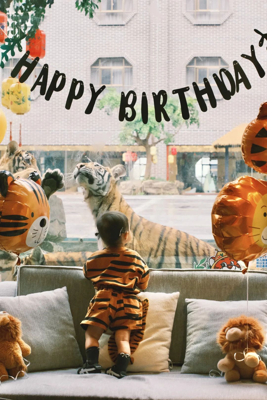 小手办第二个生日🎈