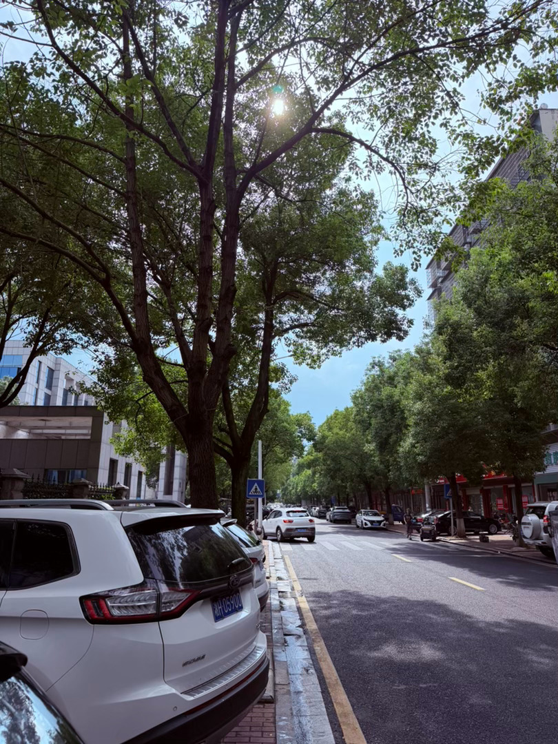 生活手记记录真实生活摄影摄影摄影 夏荫漫老街盛夏的风掠过南县的这条街道，被两侧参