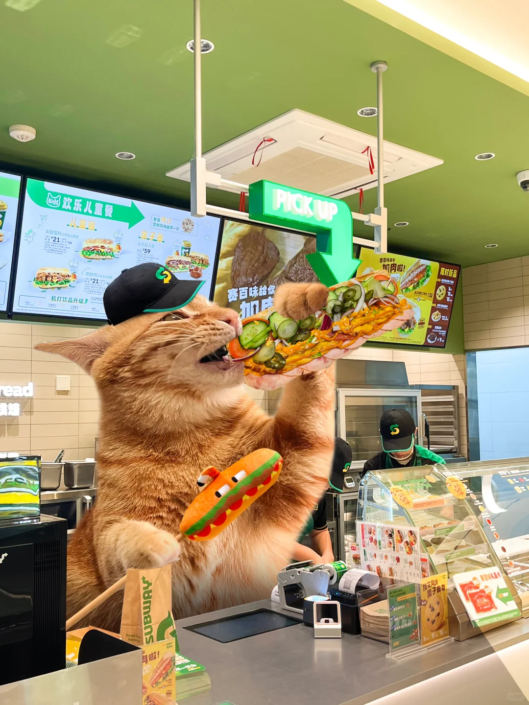 快来摸大海🍊的吃肉脑袋！
