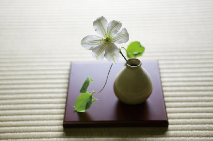 生活是一个叹号和一个问号之间的犹豫。在疑问之后，则是一个句号。  —— 费尔南多