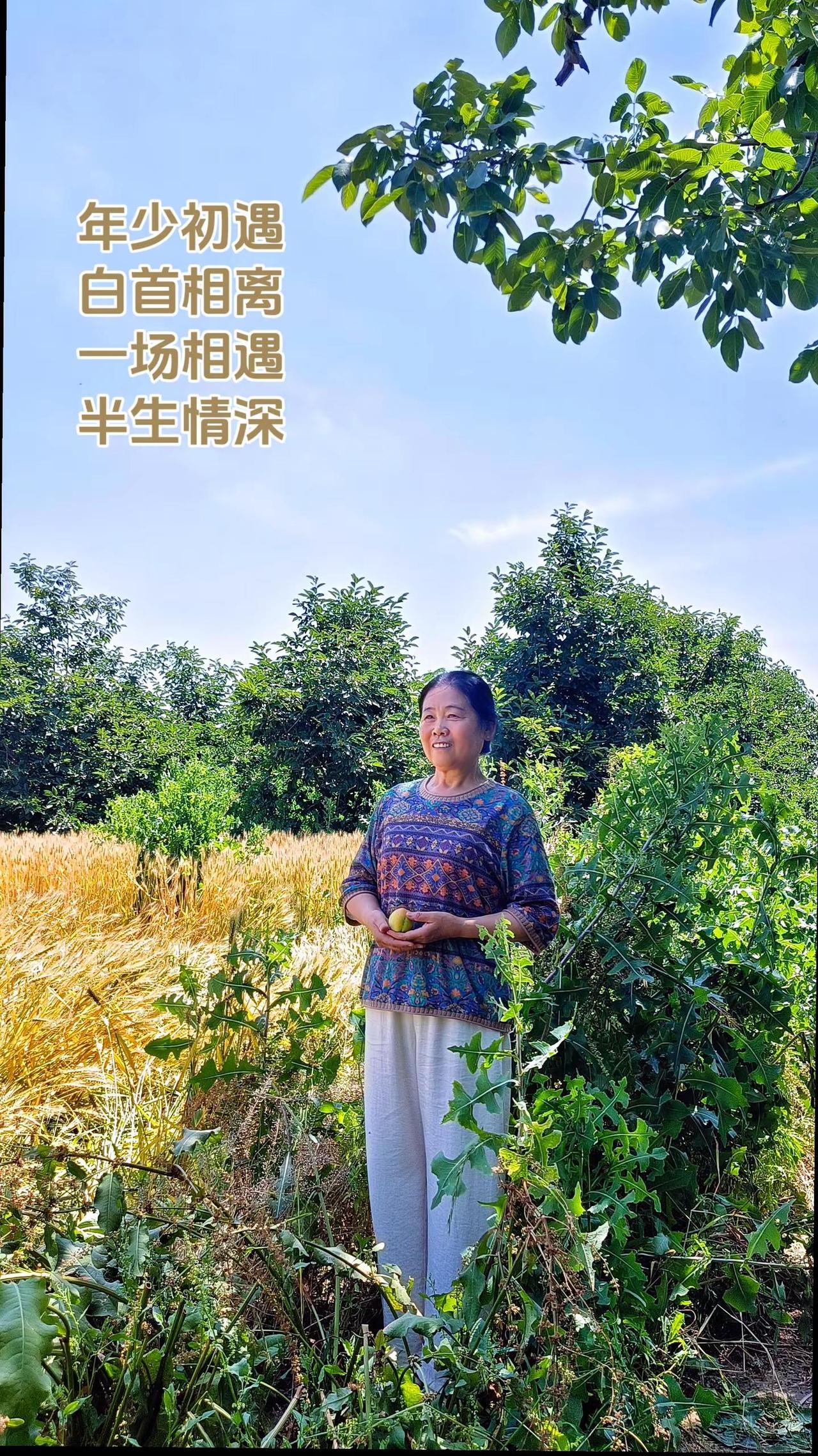 初见时尚且年少，离别时己是古稀。半个多世纪的朝夕相伴，把初见的欢喜，熬成了岁月里