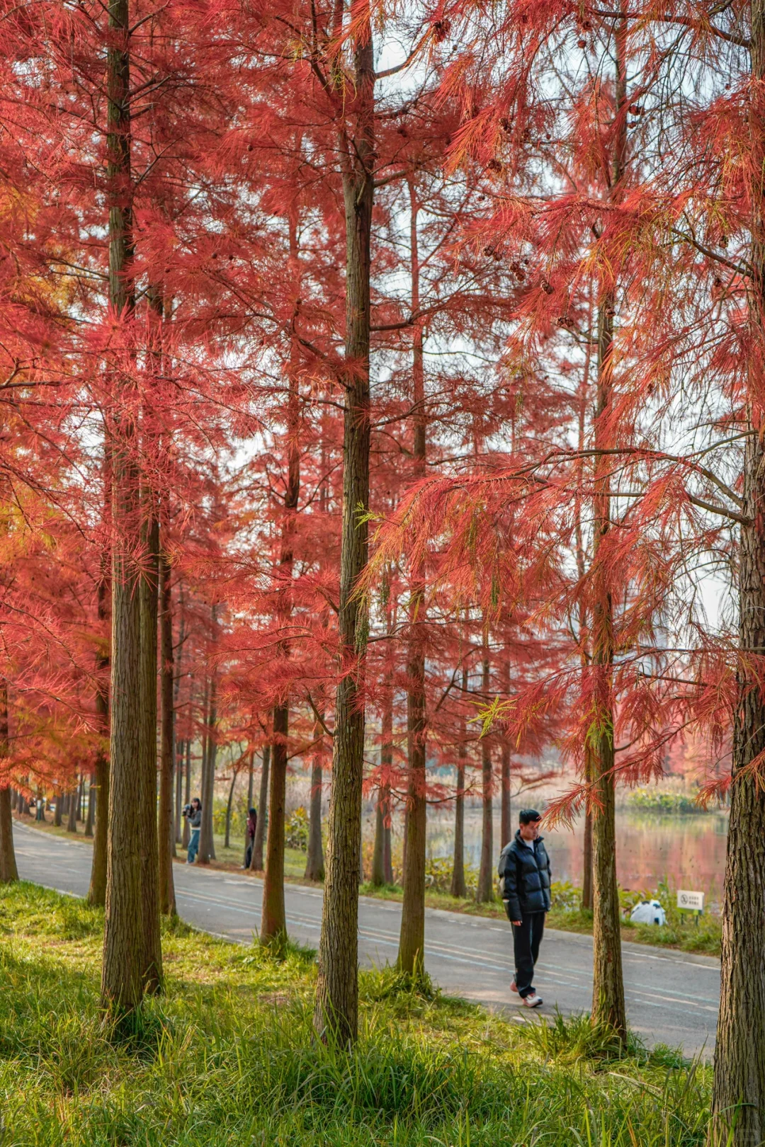 成都.适合一个人闲逛的100个地方（20/100）