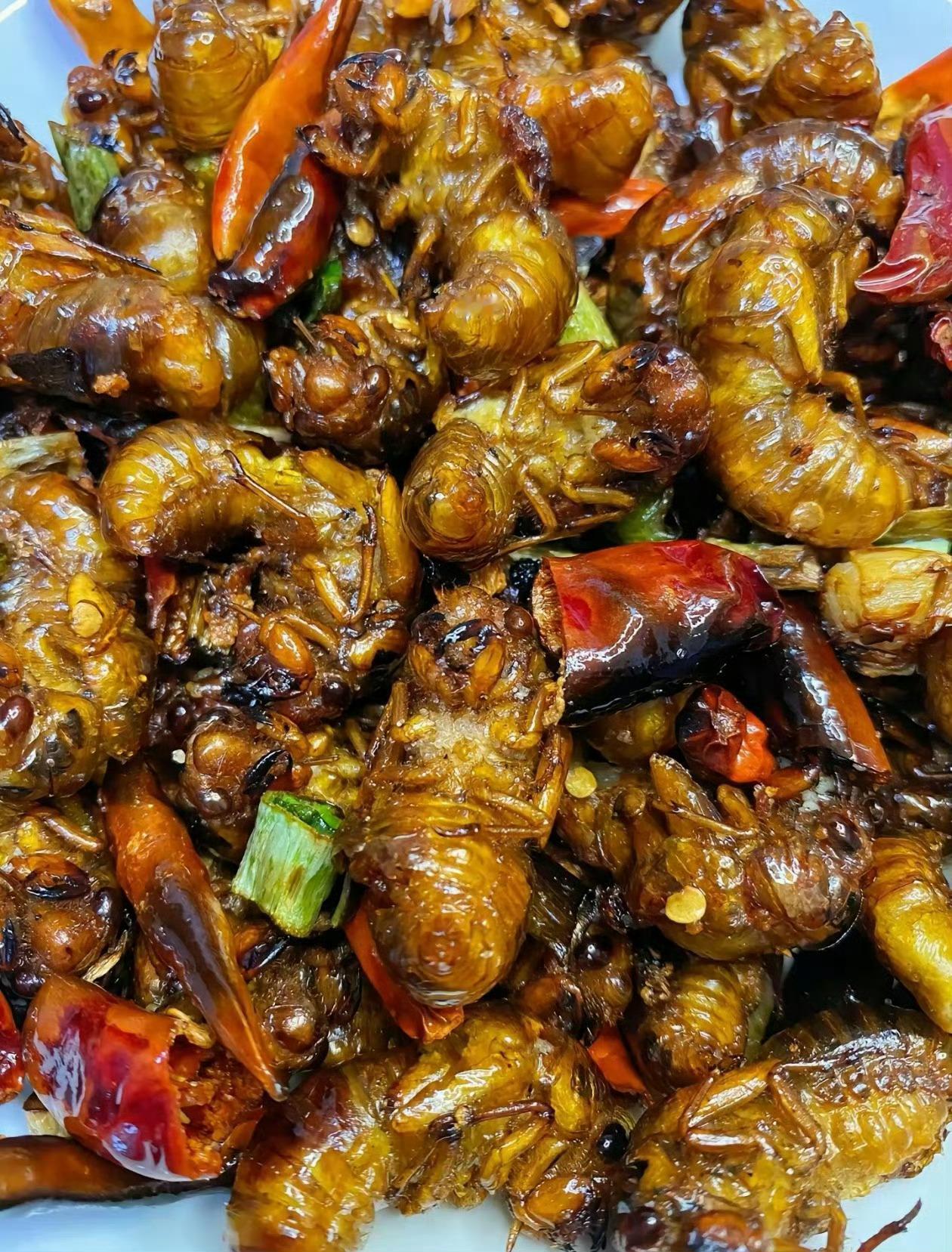 蠽蟟龟这东西怎么吃好吃？炸、炒、烤、包……