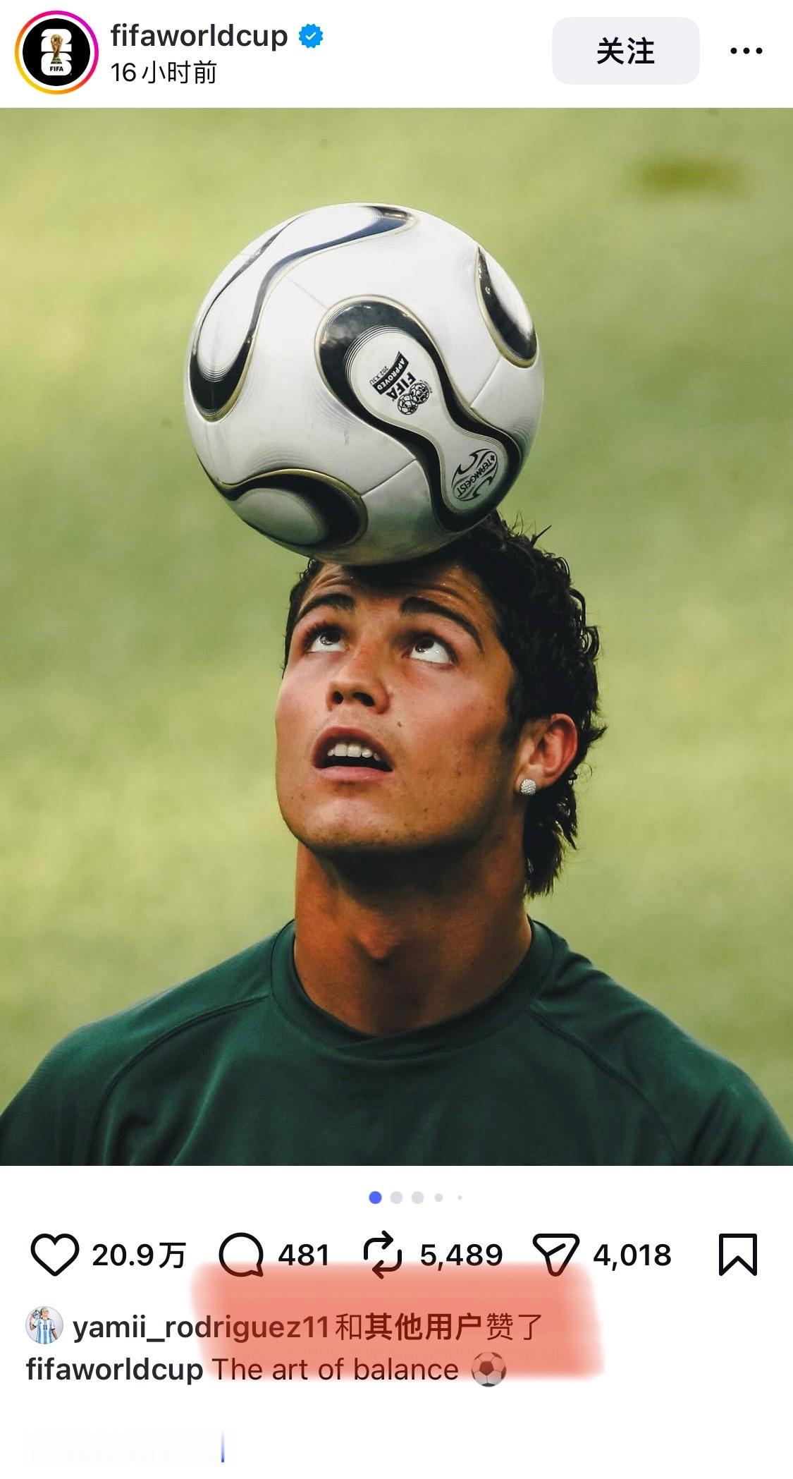 世界杯官ins ：平衡球的艺术🐬⚽️