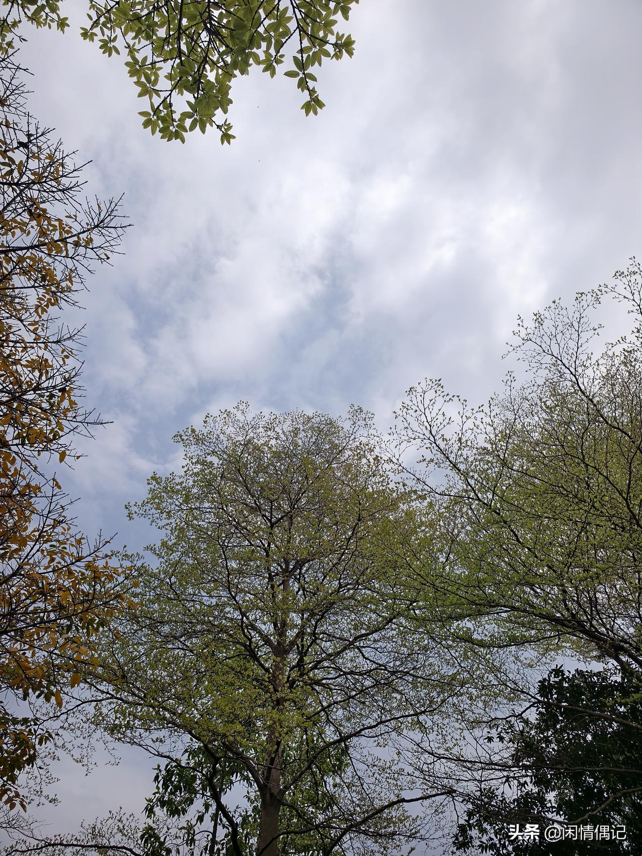 这段时间真是觉得时间不够用，恨不得一天有48小时。但后来我发现，其实拉开差距的根
