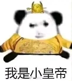 我是小皇帝 