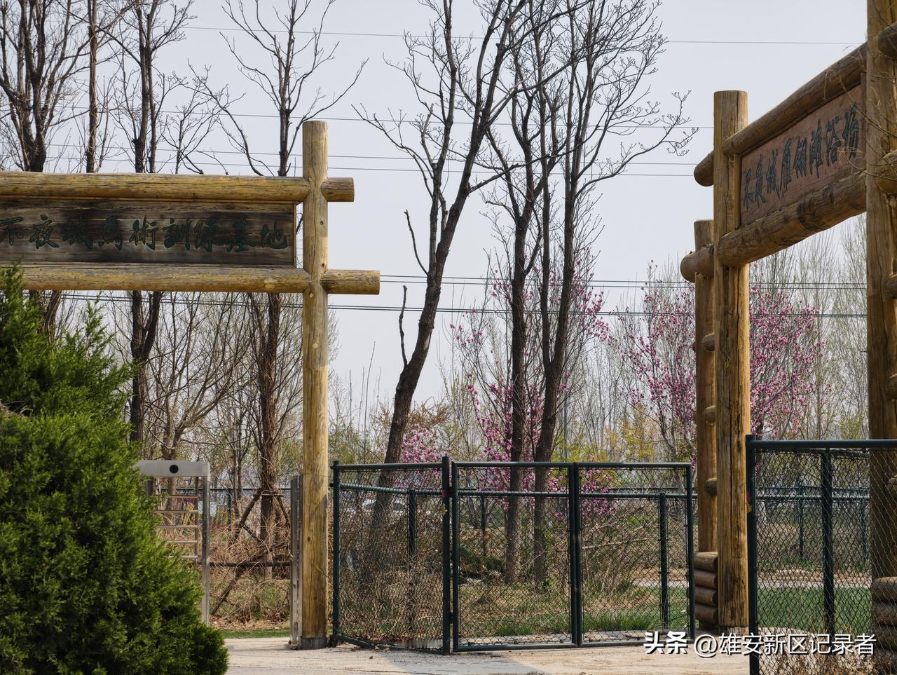 雄安新区的春天在哪里？
有一首歌，它的名字是《嘀哩嘀哩》。
这首歌你不一定会知道