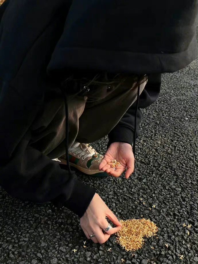 生活太残酷了,如果我们不相信爱.还能为什么而活呢?——《吸血鬼日记》