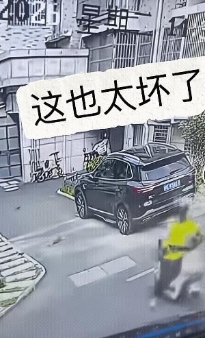 毫无底线，刻意作恶，残忍程度让人背脊发凉！一名外卖骑手无故骑车碾压路边无辜流浪猫