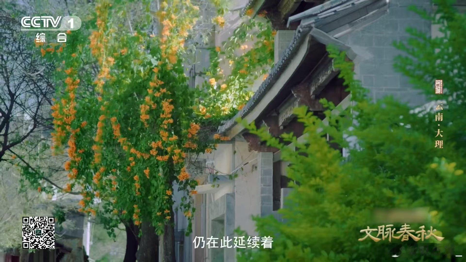 大理1200多年的古井藏着节水智慧 建议把古井设计写进教科书！古人用智慧守护水源