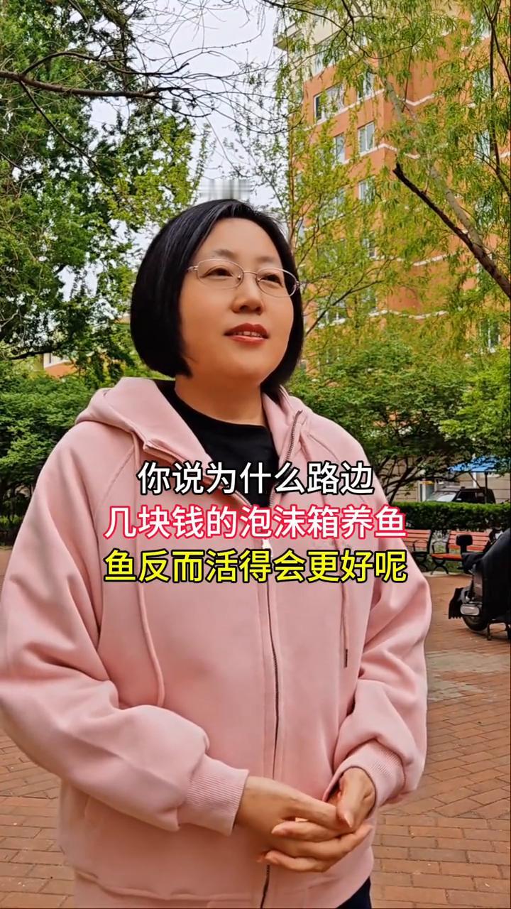 泡沫箱养鱼竟然比鱼缸好。
为什么路边几块钱的泡沫箱养鱼反而活得会更好？泡沫箱养鱼