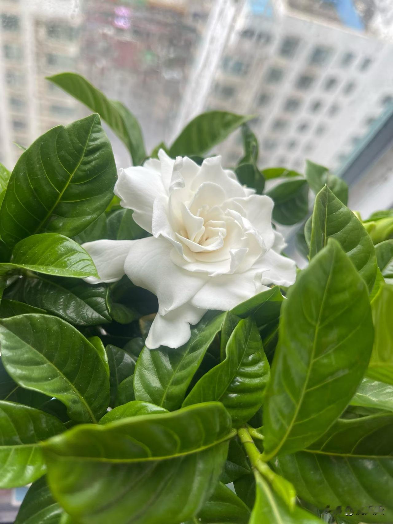 现在的专家真是没事闲的，研究了个事，说每天做3顿饭的女人比做1顿饭的女人致肺癌高