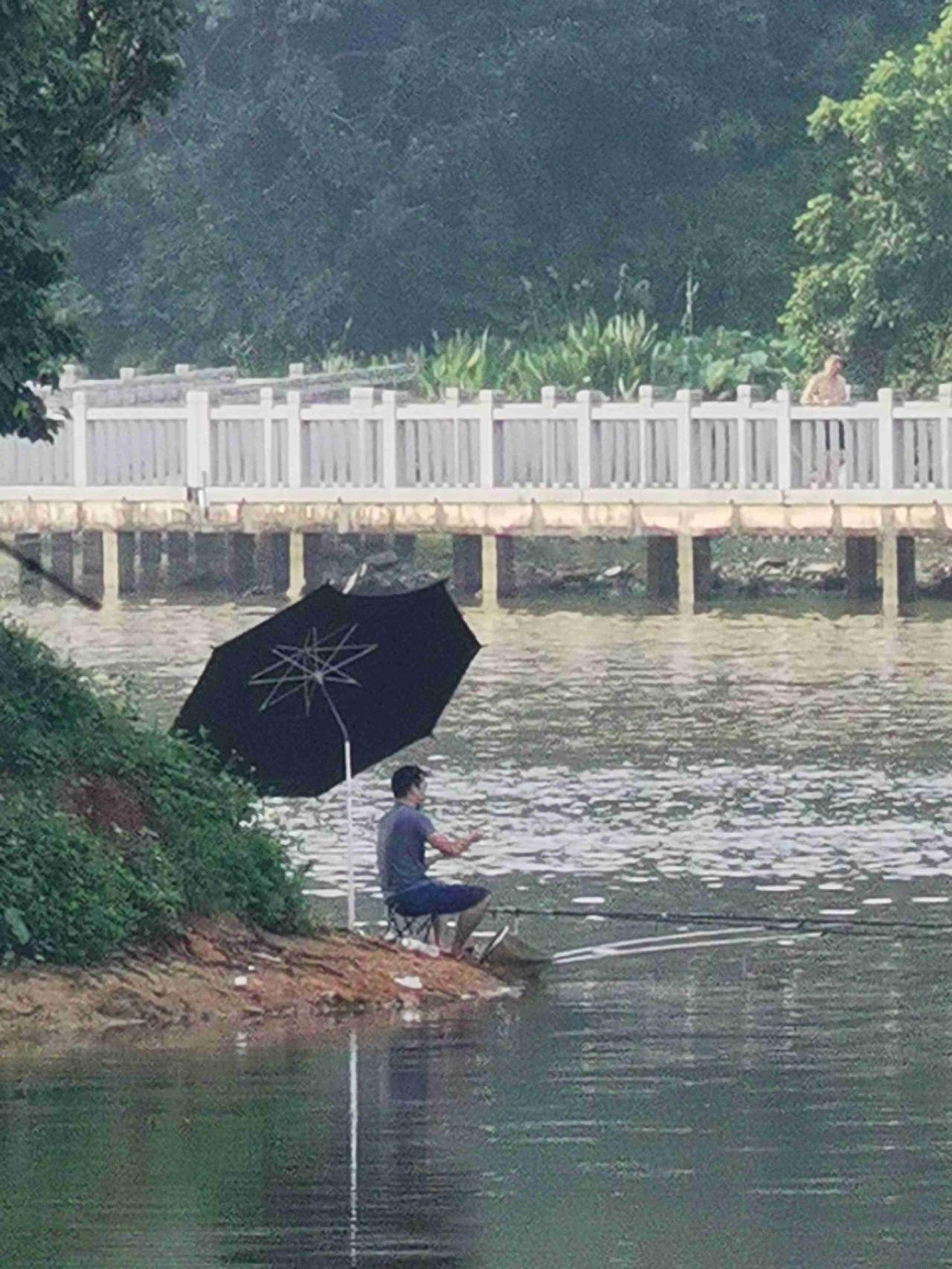 📸这才是垂钓人向往的生活！绿树下、浮萍旁，一把钓椅，一汪碧水……

夏日傍晚，