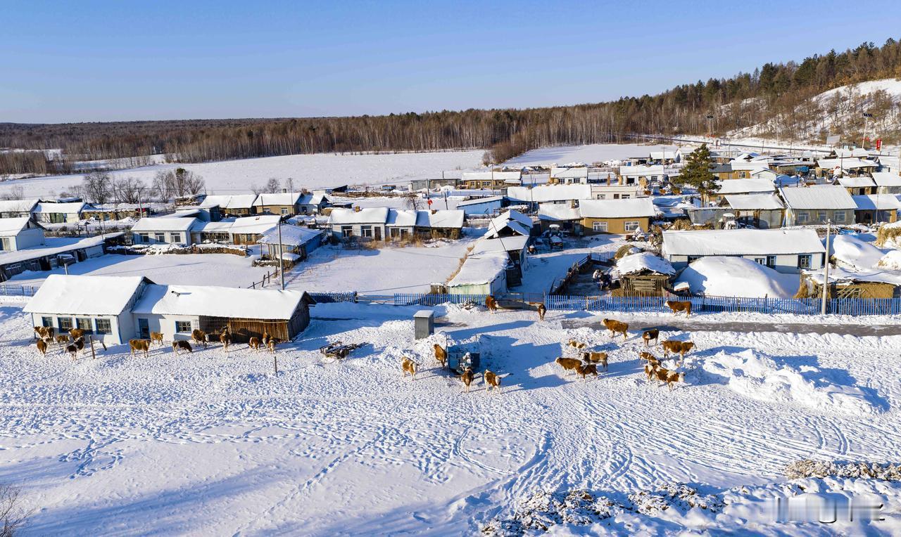 午后，黑龙江大兴安岭呼玛的一个名不见经传的小村落。