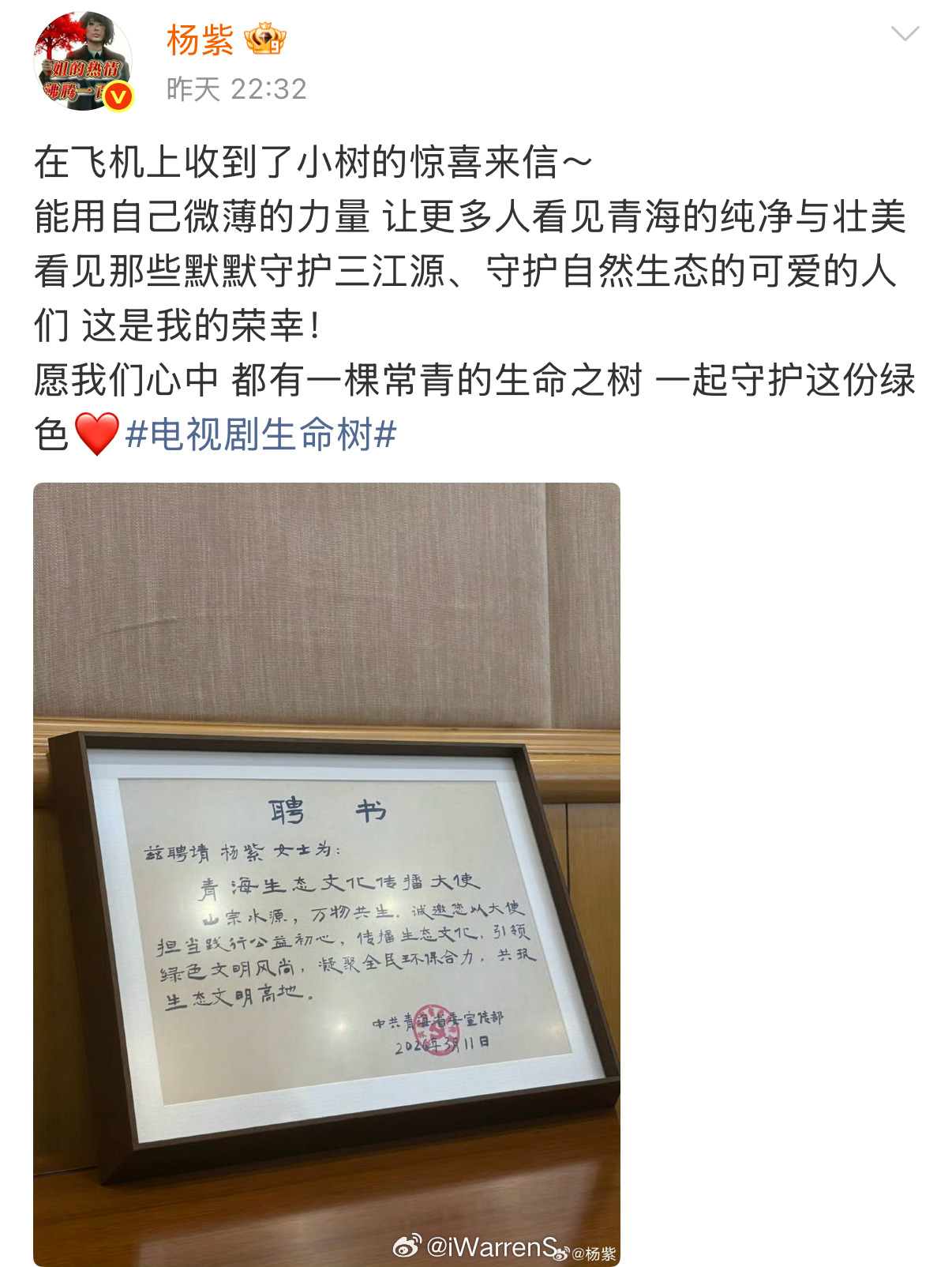 恭喜演员杨紫被聘为青海生态文化传播大使了呀！杨紫青海生态文化传播大使