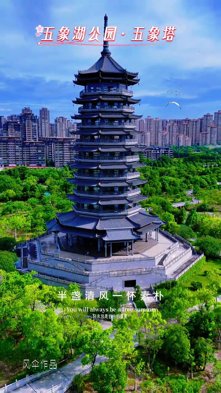 五象湖公园·五象塔。
莲开如初，不染尘俗。你永远是自由的盛夏，半盏清风，一怀素朴