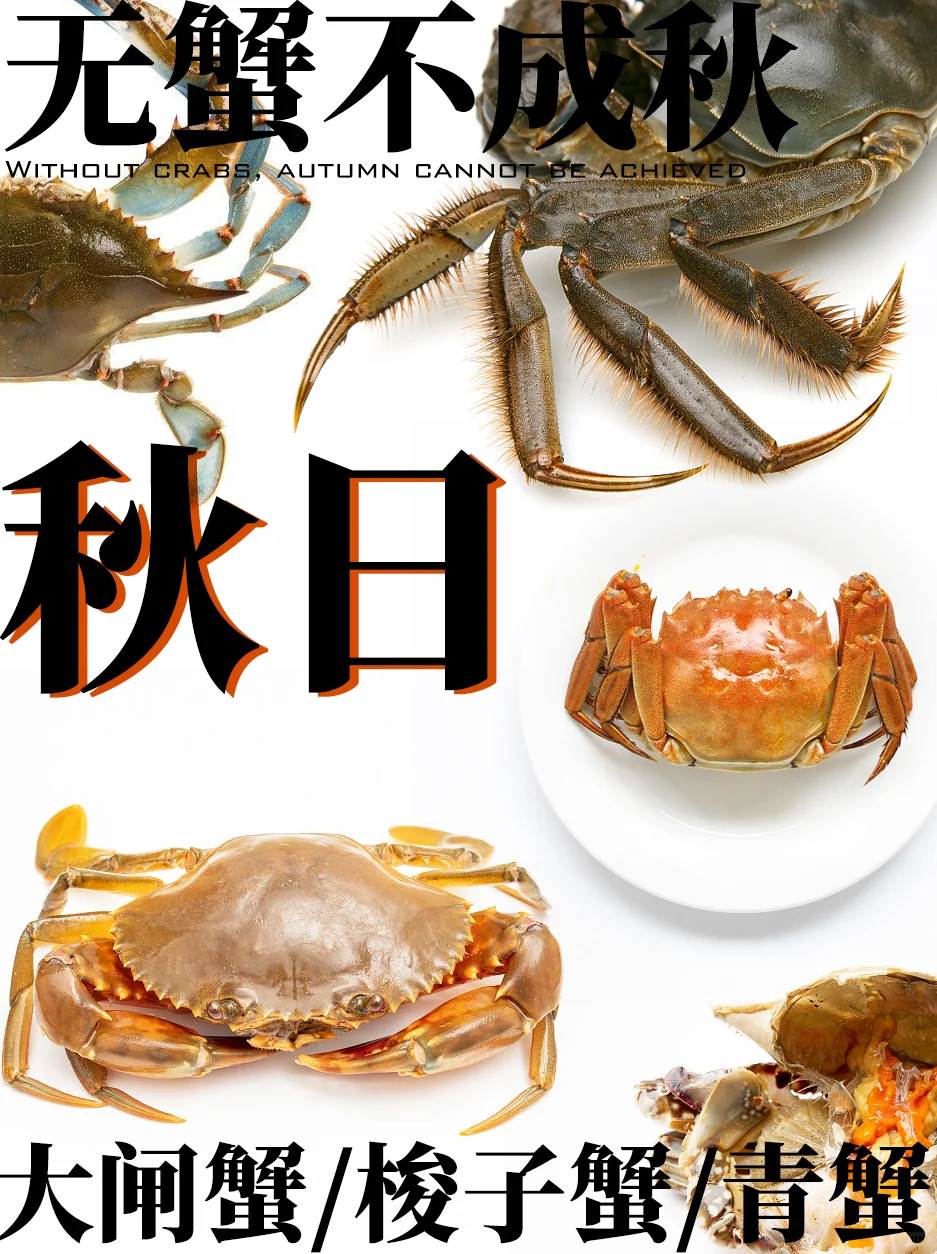 无蟹不成秋~