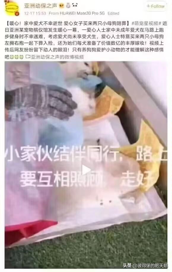 啥？狗也开始搞殉葬配阴婚了？

还被所谓动保组织的账号发出来，咋地？小奶狗的命就