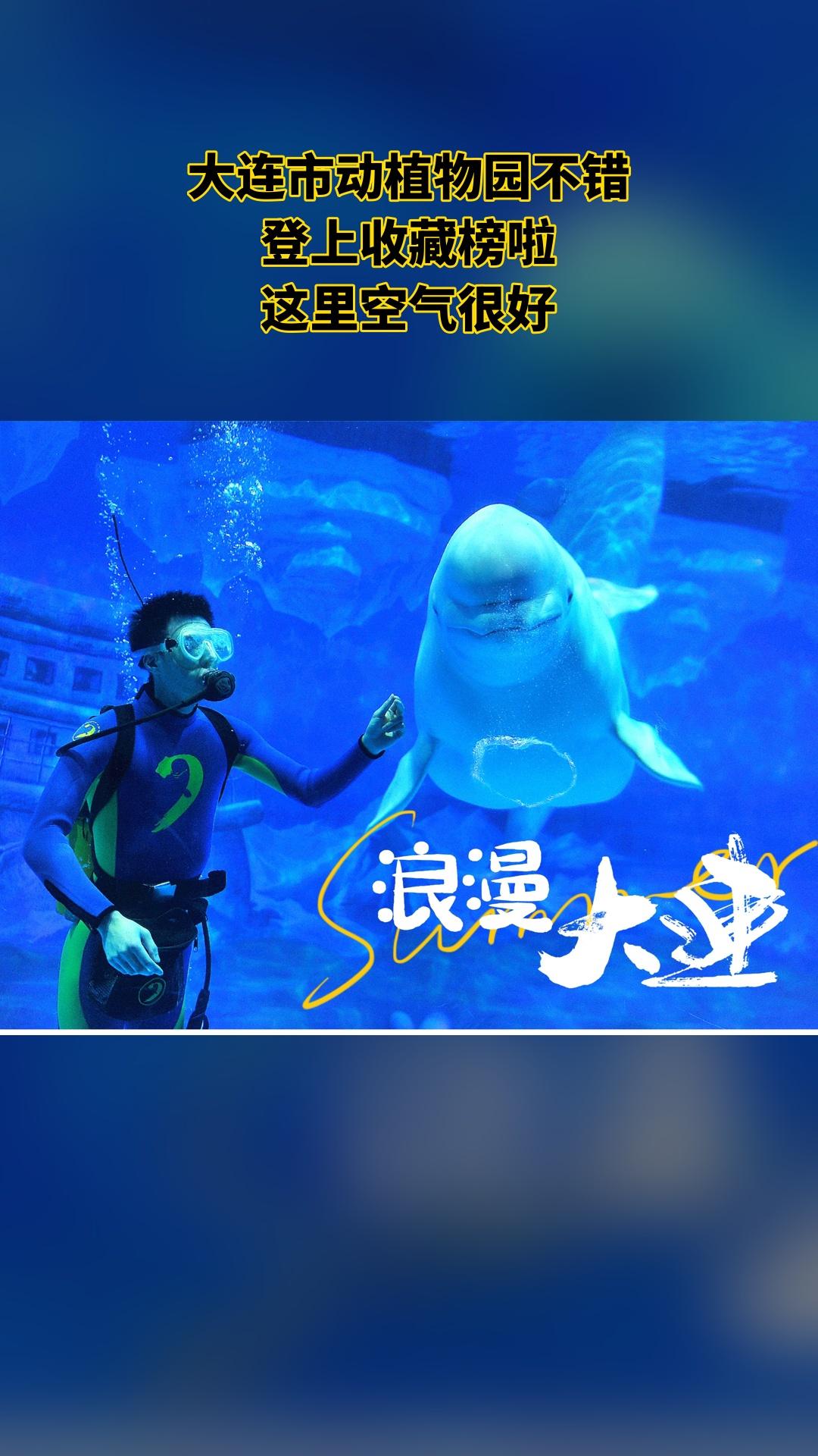 大连老虎滩极地海洋动物馆，当季福利，新鲜登场，儿童四馆票，景区官方、随...