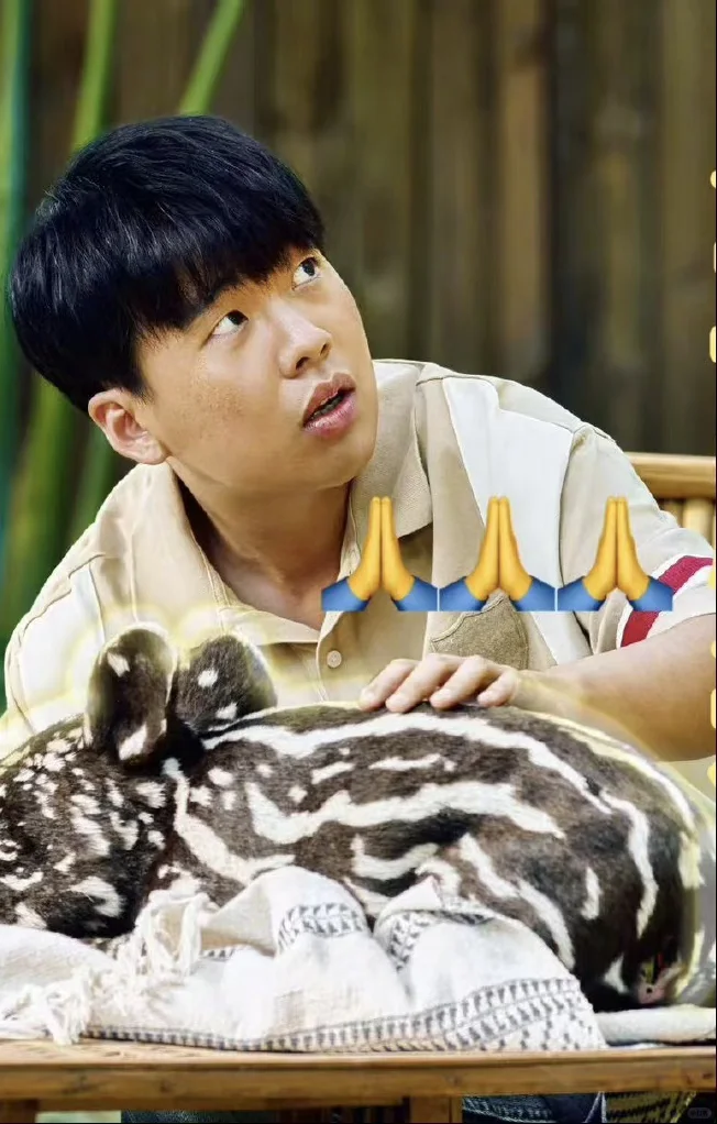 郭麒麟吴镇宇这剧我是一点都舍不得快进啊😂