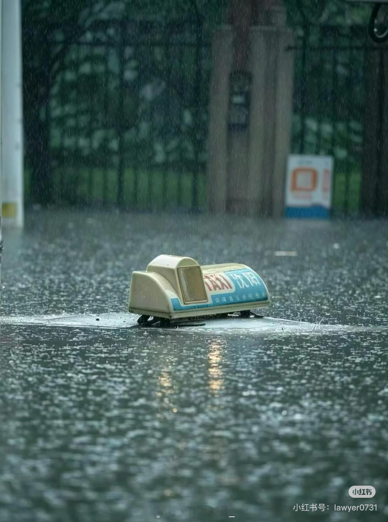 东北人看起来是乐观松弛，在雨里游泳在雨里洗澡，说忙活一年没功夫去看海，大海自己来