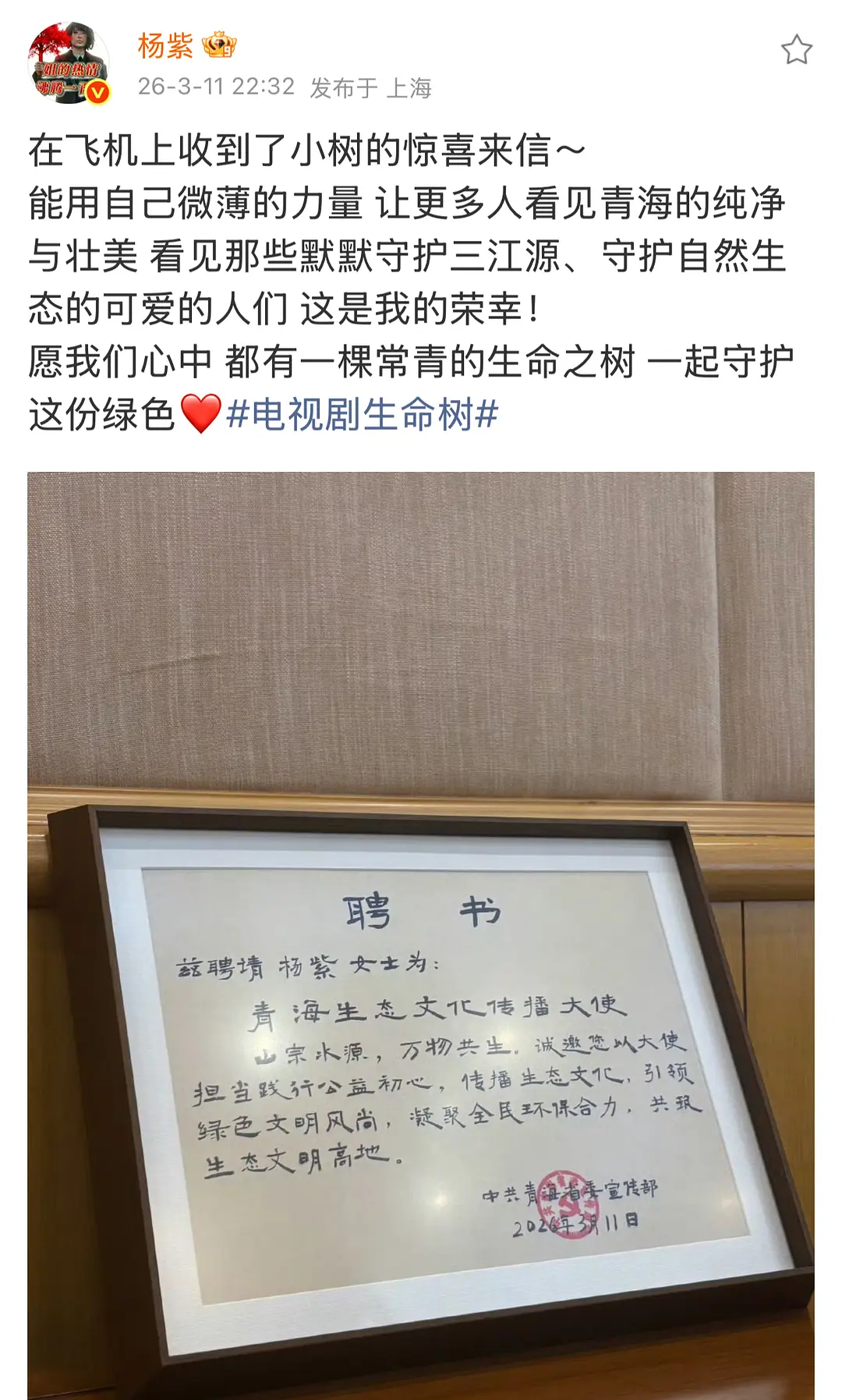 恭喜杨紫被青海聘请为生态文化传播大使🎉 