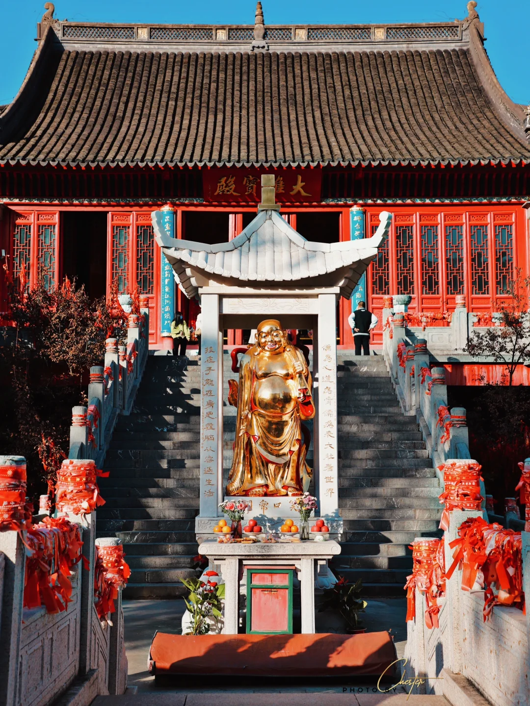 梦回金陵🍁毗卢寺银杏最美的时候到了