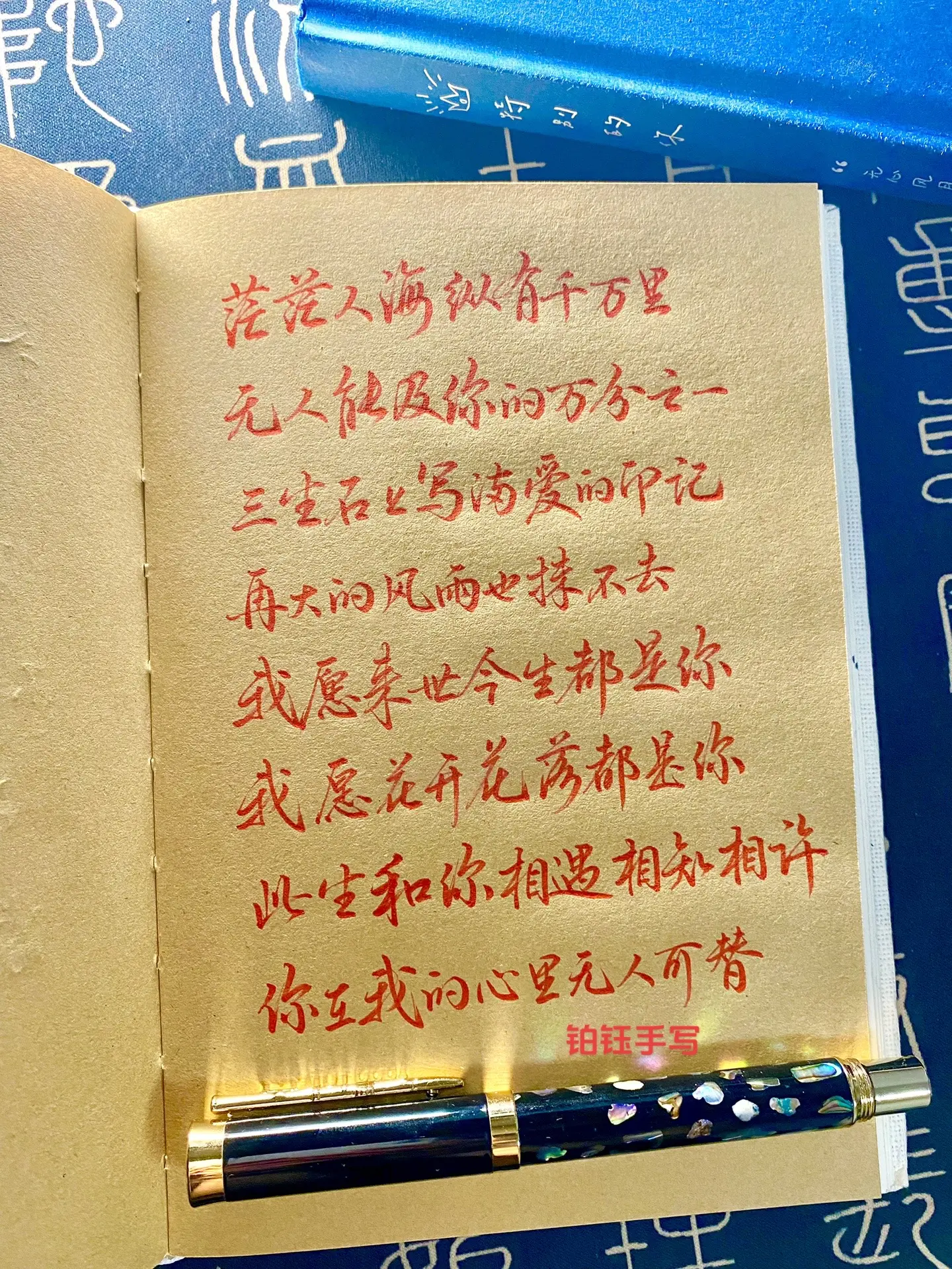 “愿来世今生都是你，愿花开花落都是你”