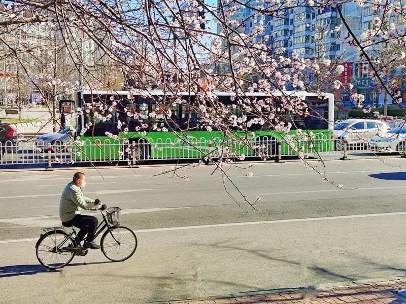 上联：秋乘落叶去，求下联：…？下联:春随暖风来
