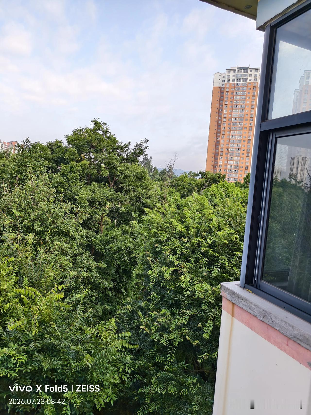 竹子是小鸟的开心乐园，竹子没了，小鸟娱乐转场？不知它们会不会误食了农药毒死的虫子