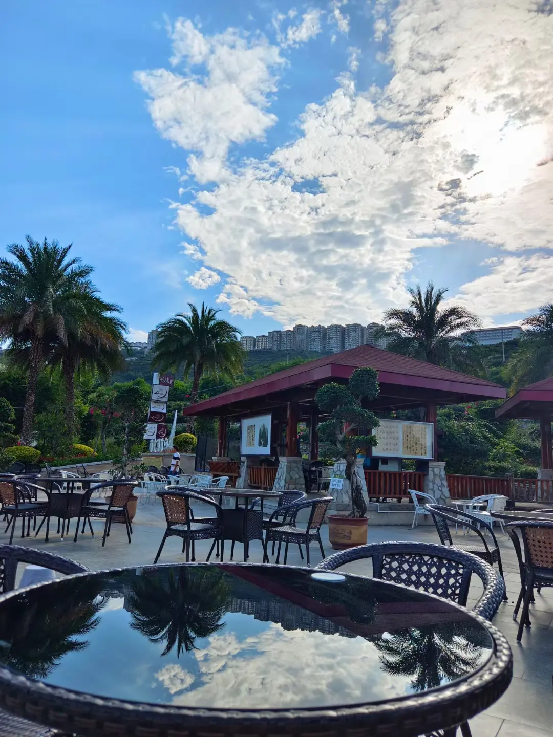 快40岁的我，突然有点顿悟了，看到同龄人，有人离异，有人儿女双全，有人...