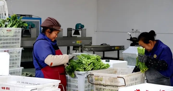 常德税务合规“导航”助农产品抢“鲜”销售