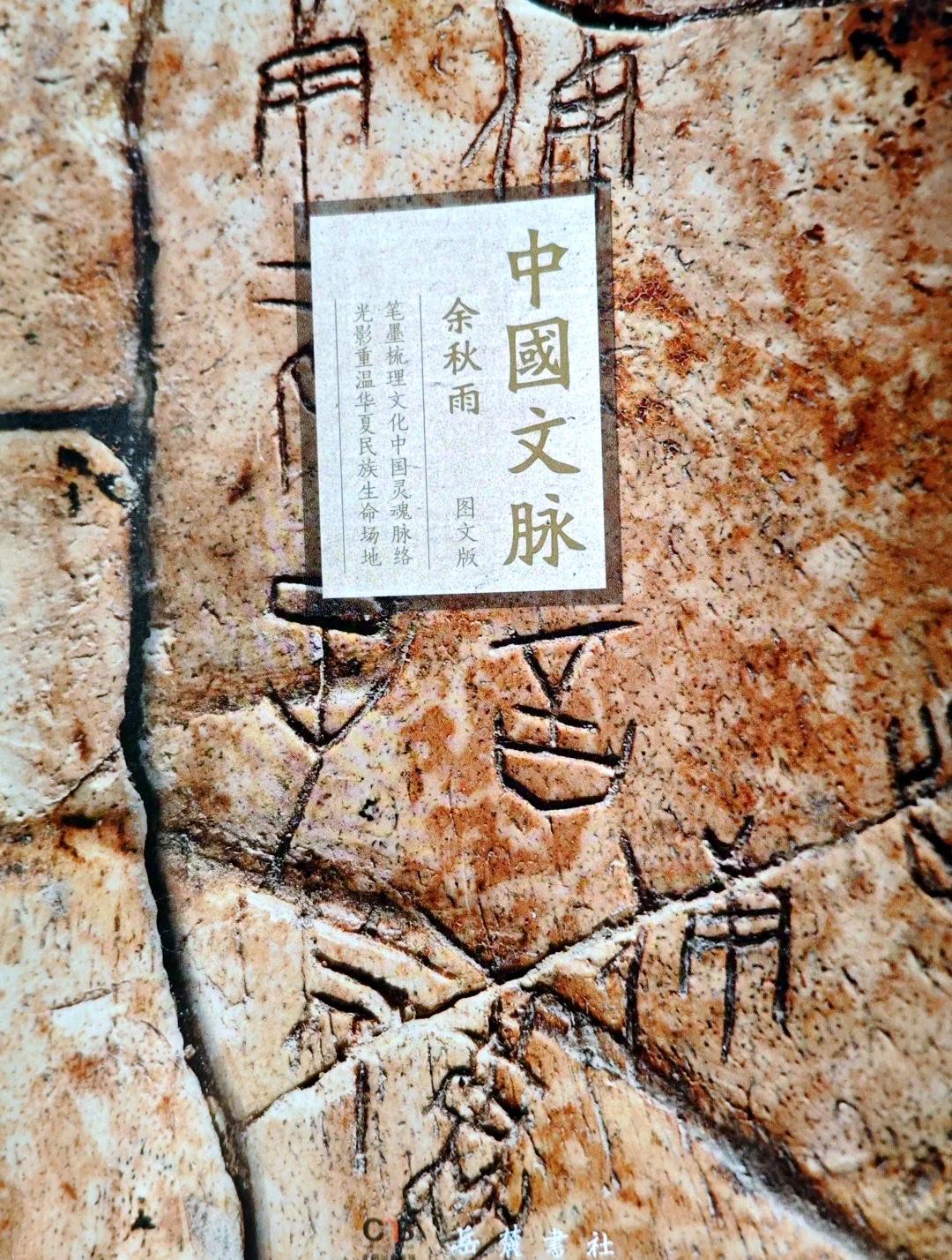 以“四策”活千年文脉：先守好遗址本体与生态岸线，筑牢保护底线；再用数字技术活化静