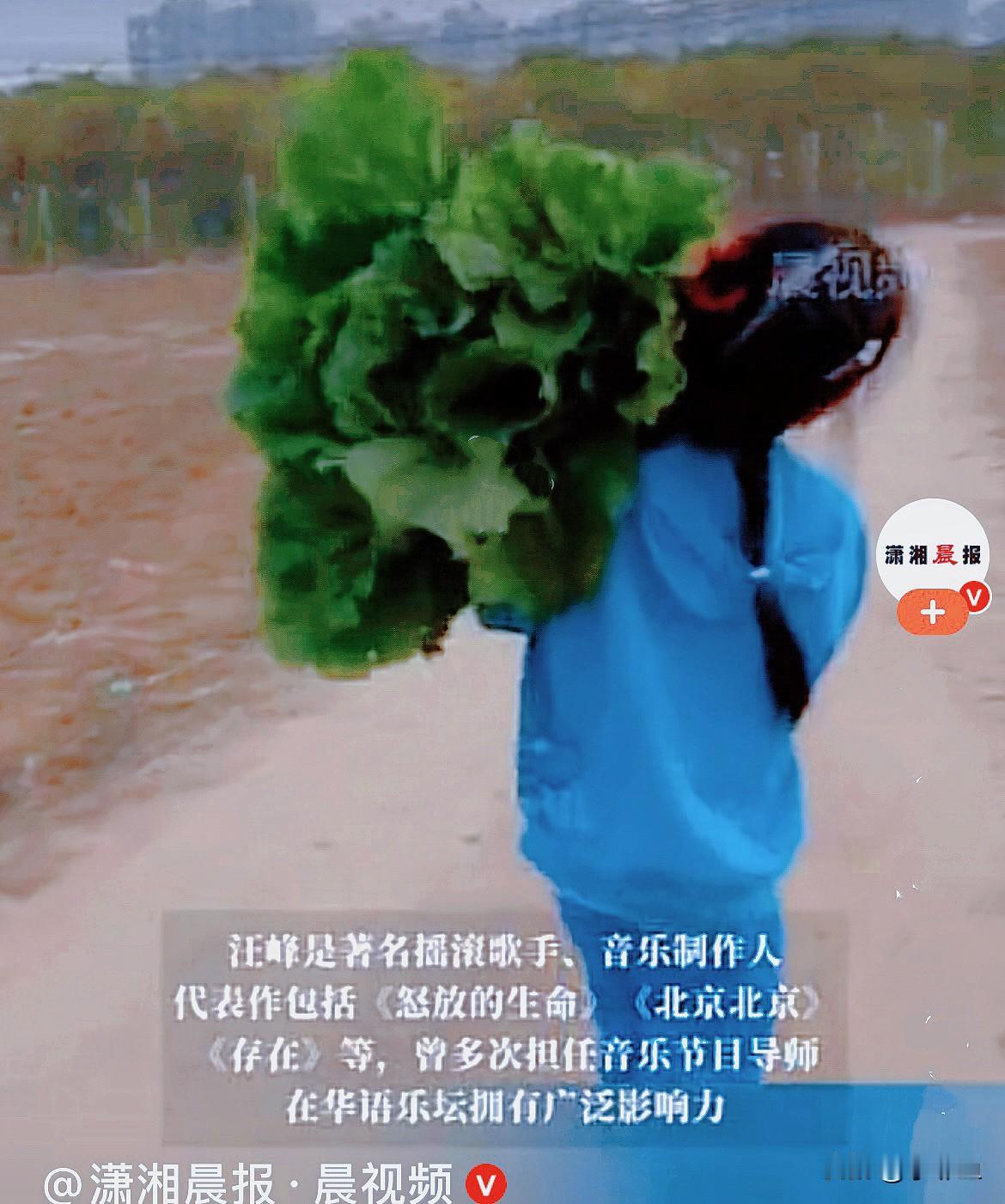 近日，汪峰上头条了，不是来安慰女友的情绪问题，而是带着女儿体验农耕挖红薯和白菜了