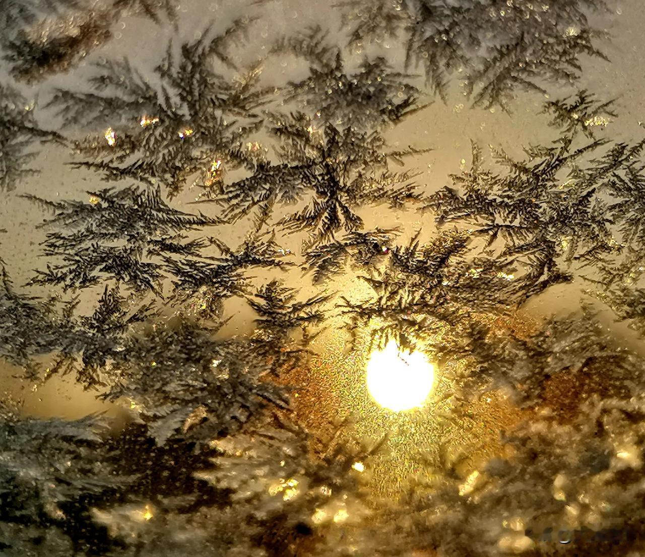 日出霜花别样美（原创）
浅秋爱摄影 秋冬美景手摄 应景原创拍摄 紫荆原创 原创火