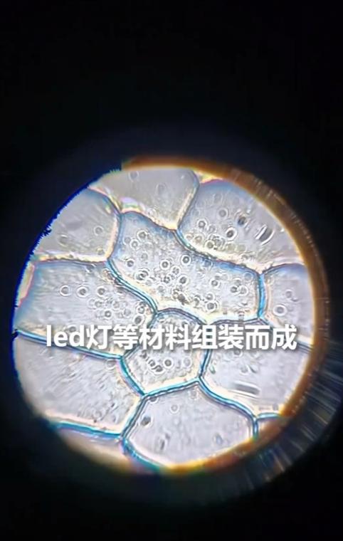 “终于上人民日报了！”贵州一名中学生放暑假待在家里，除了写作业之外，没想到他脑洞