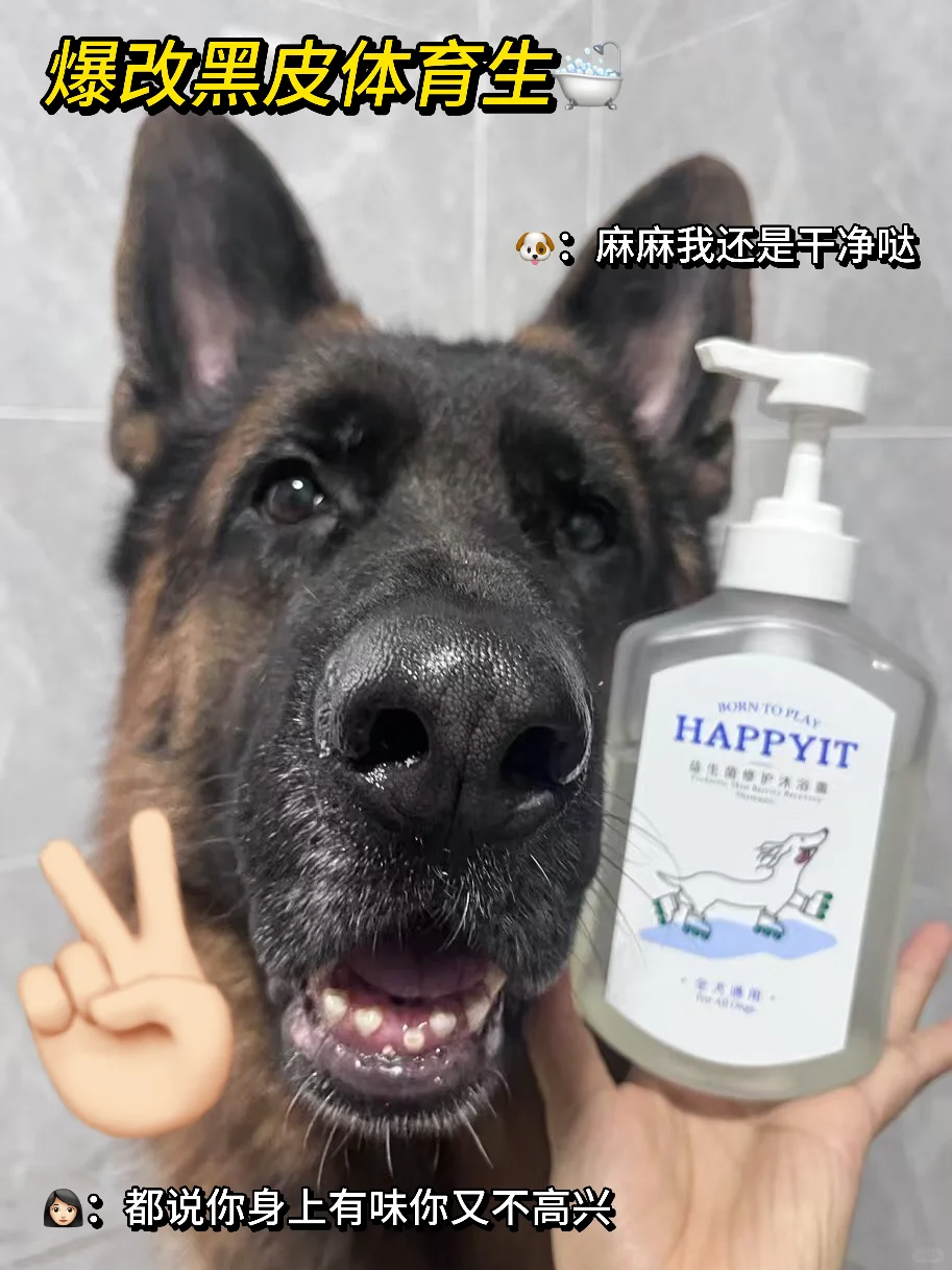等下说你臭你又不高兴