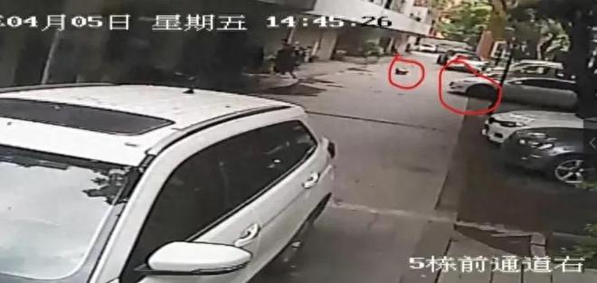 【#女童被碾过致死案车主服刑十月已满#】9月25日，特斯拉碾压幼童案二审庭审。成