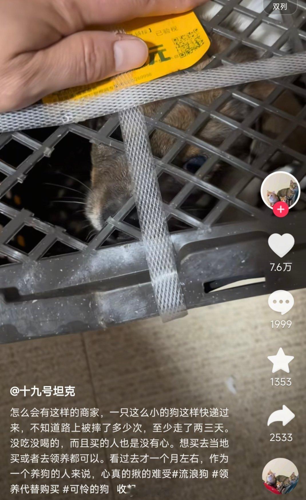 快递员好，活体运输的买卖双方都不得好死[赢牛奶] ​​​