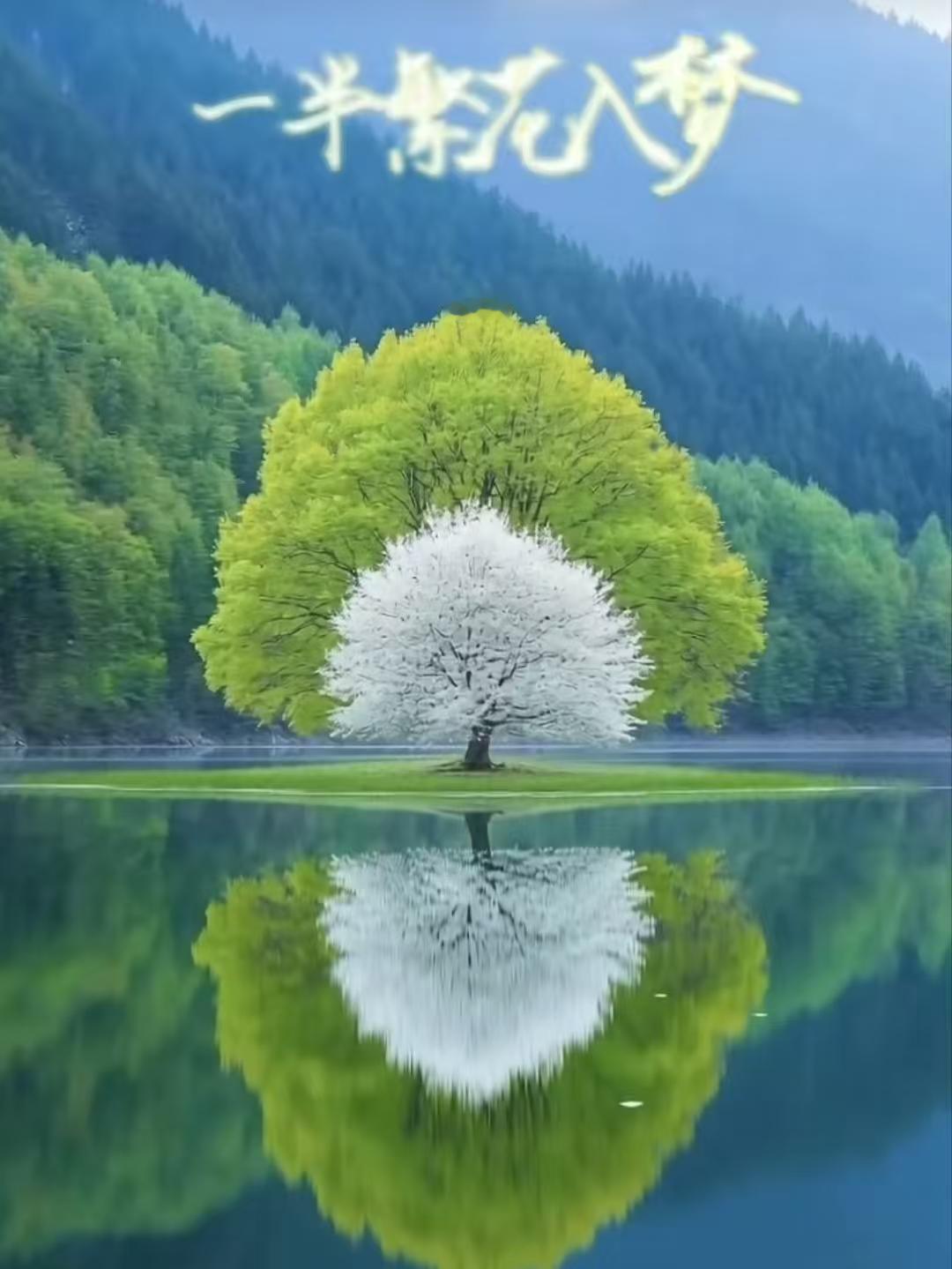 塞鸿秋.春山揽胜
繁花满树青阴绕，
湖光映水青山渺。
春风不语温柔好，
山水尽揽