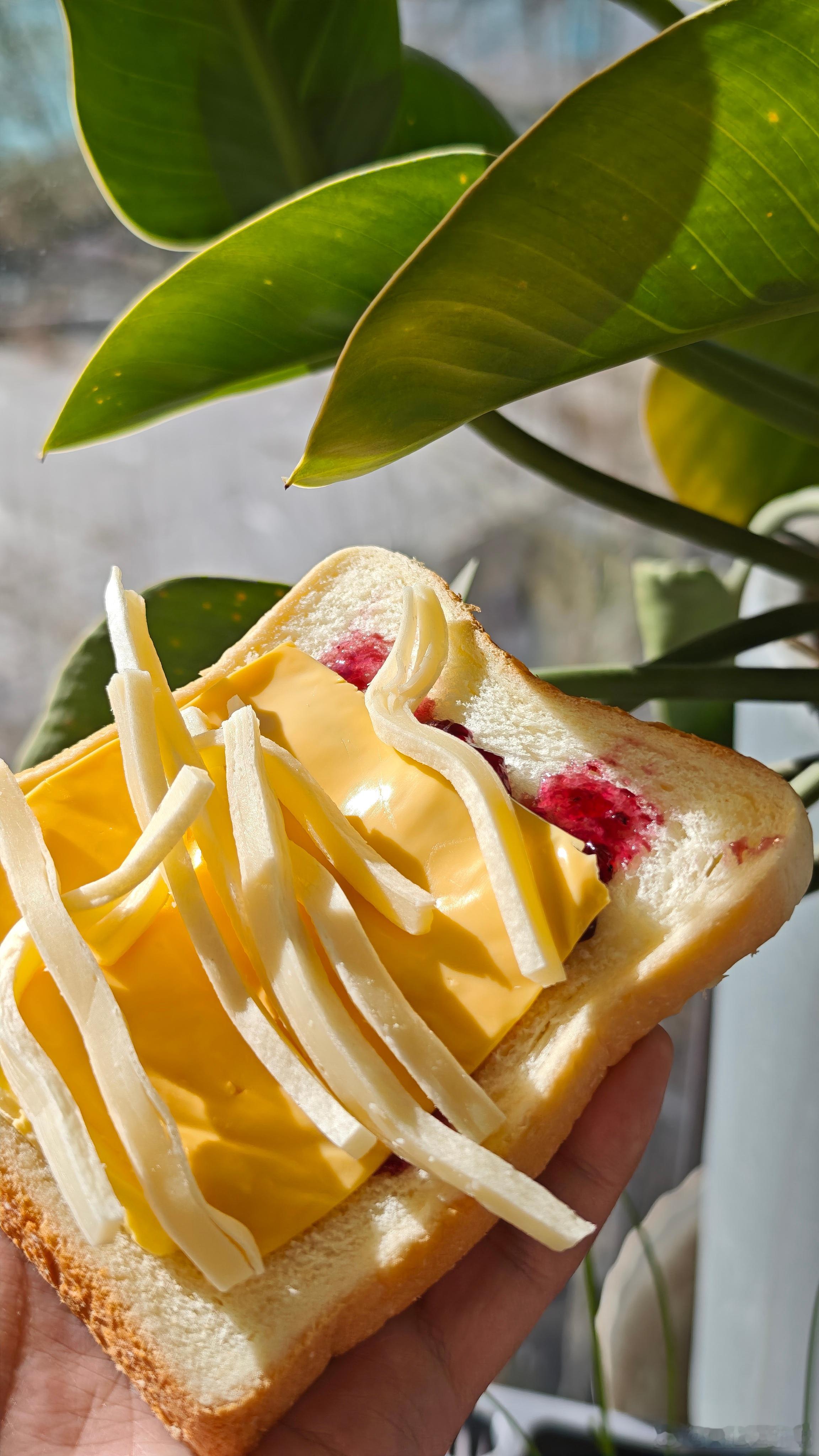 简简单单 吃个午餐我的日常plog美食