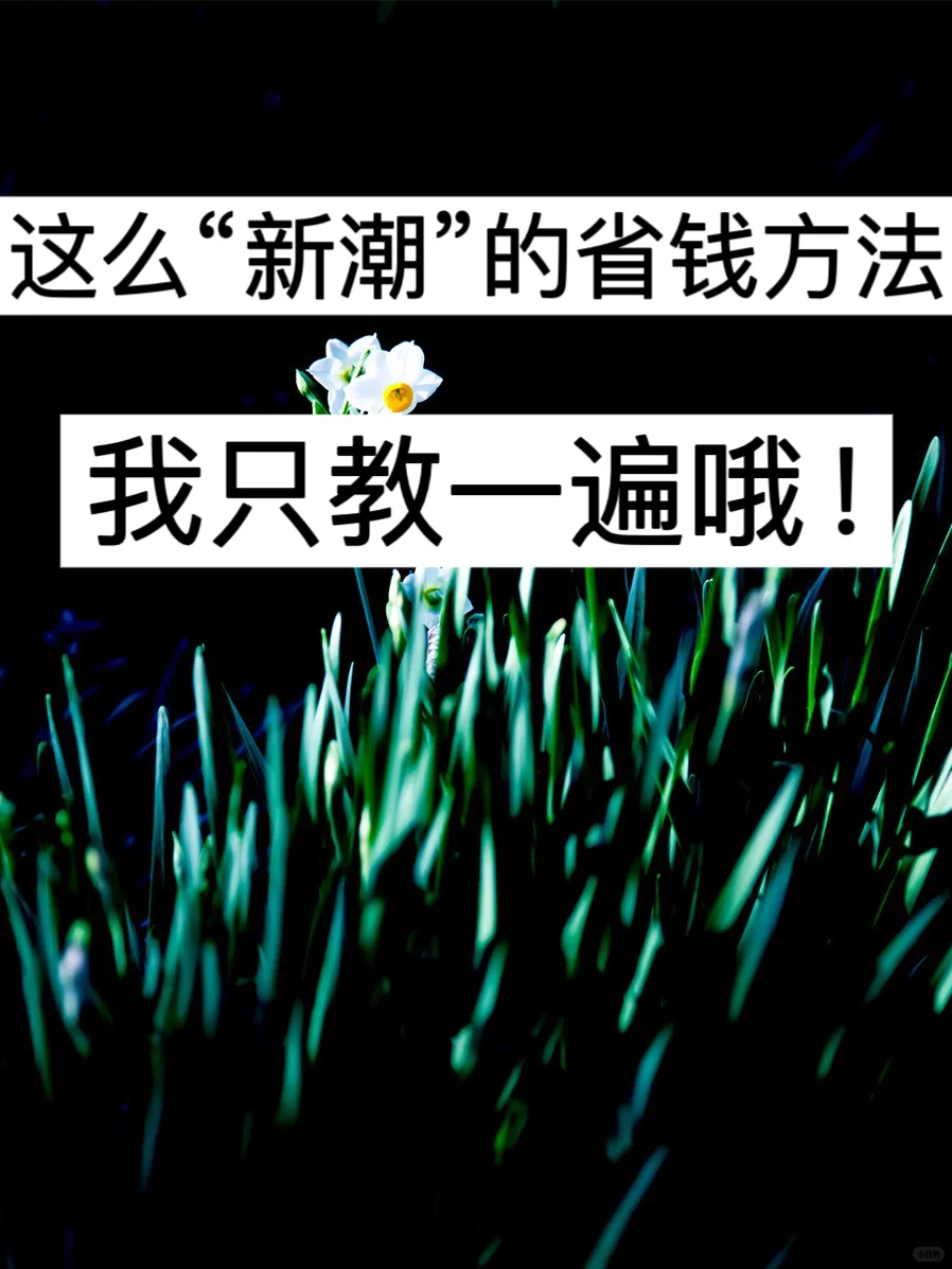 这么“新潮”的省钱方法，我只教一遍哦！