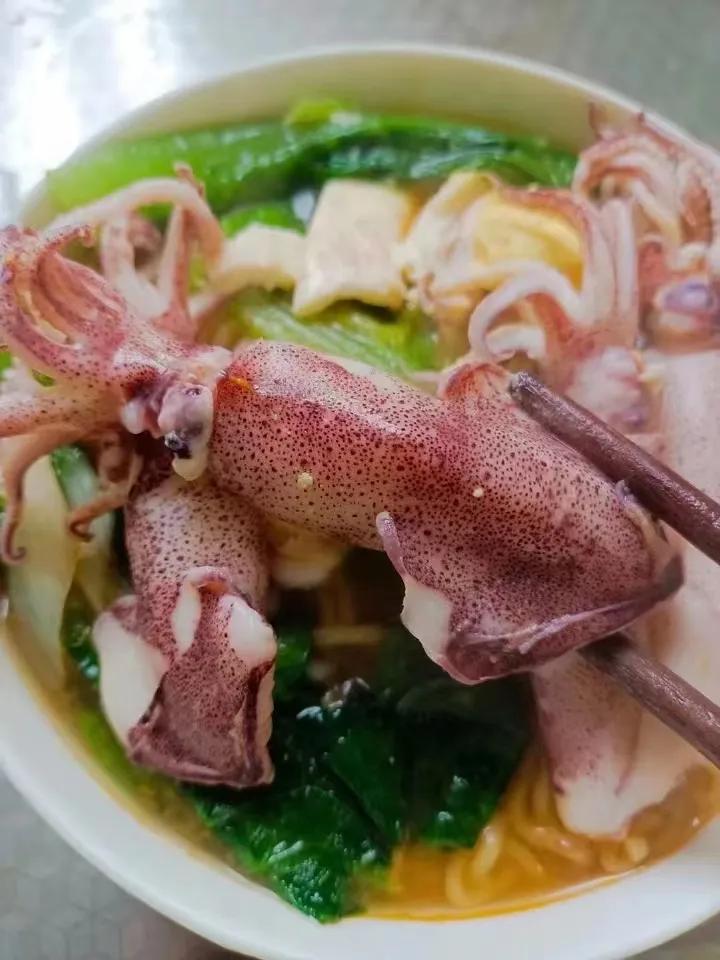 新鲜的海兔做个面条，味道那叫一个鲜美。